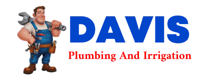 Trusted plumber in BONHAM